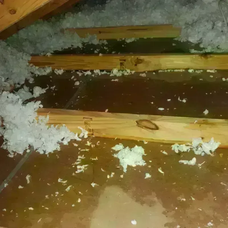 Attic Water Damage in Petaluma, CA